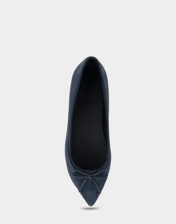 Aerosoles Comfortable Women039s Point Toe Flat In Navy Genuine Suede Navy Genuine Suede Women Dress