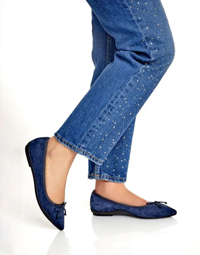 Aerosoles Comfortable Women039s Point Toe Flat In Navy Genuine Suede Navy Genuine Suede Women Dress