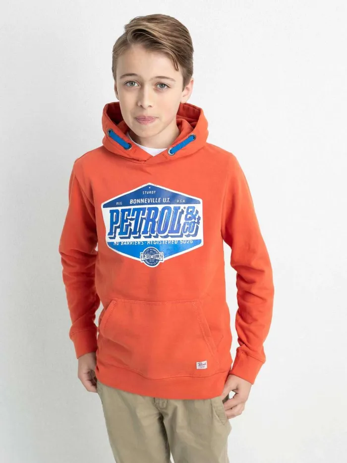 Boys Knits and Sweats Petrol Industries Hoodie With Logo Artwork Chilli