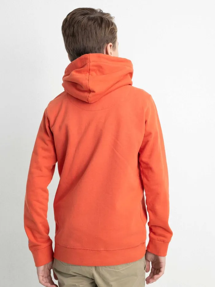 Boys Knits and Sweats Petrol Industries Hoodie With Logo Artwork Chilli