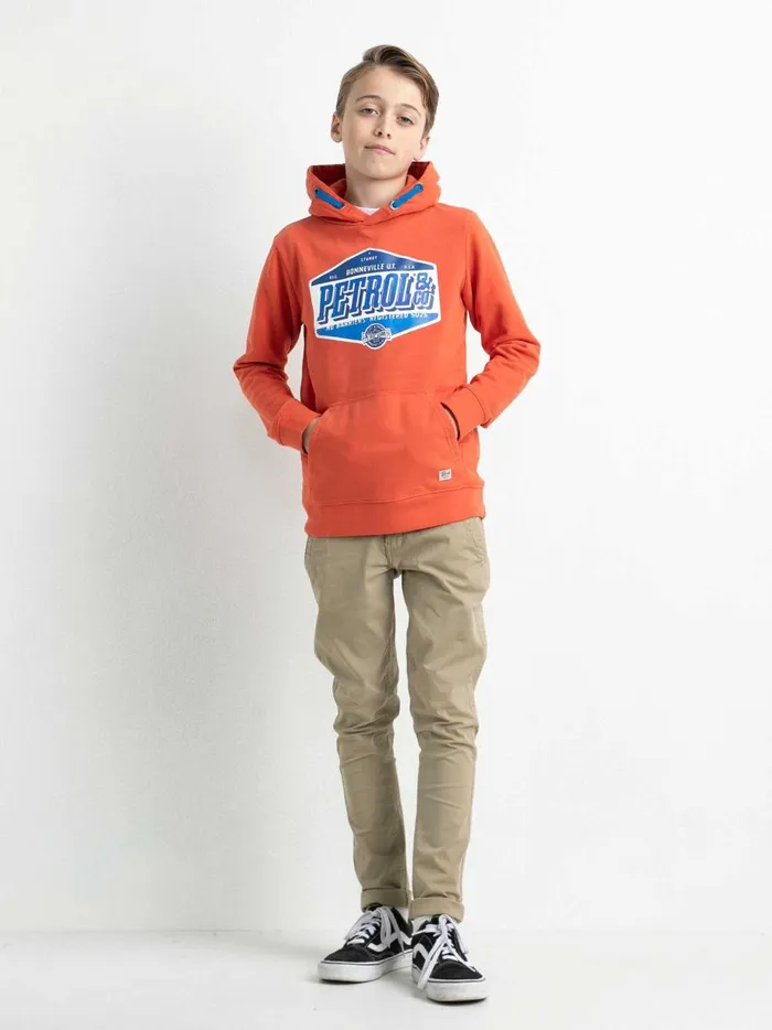 Boys Knits and Sweats Petrol Industries Hoodie With Logo Artwork Chilli