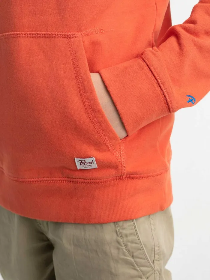 Boys Knits and Sweats Petrol Industries Hoodie With Logo Artwork Chilli