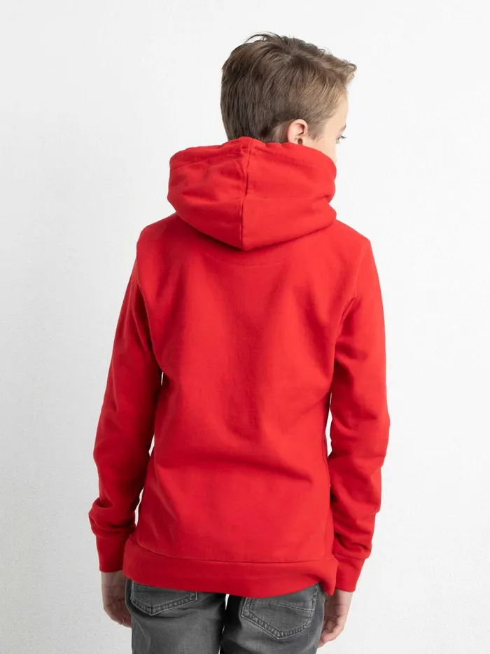 Boys Knits and Sweats Petrol Industries Hoodie With Logo Artwork Pepper Red