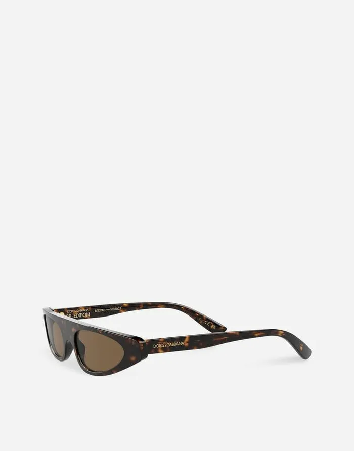 Dolce and Gabbana Icons Women ReEdition Dnasunglasses Havana Dolce and Gabbana Icons Women ReEdition Dnasunglasses Havana