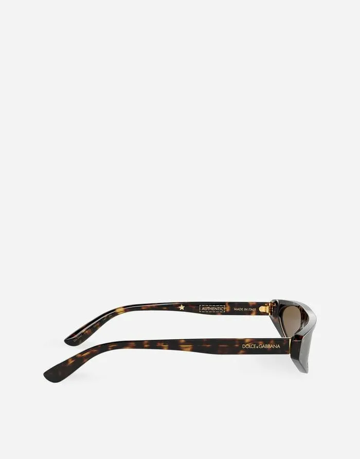Dolce and Gabbana Icons Women ReEdition Dnasunglasses Havana Dolce and Gabbana Icons Women ReEdition Dnasunglasses Havana