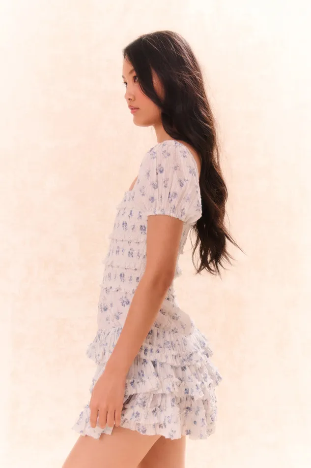 Dresses Women LoveShackFancy Fellows Cotton Floral Dress Ashen Blue