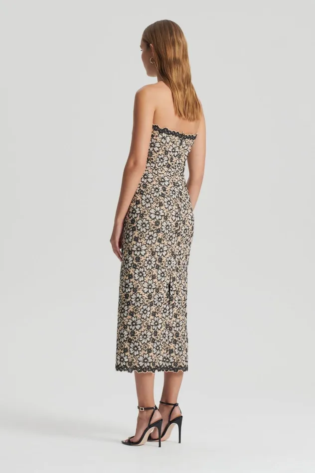 Dresses Women Scanlan Theodore EMBROIDERED FLORAL DRESS Blackcream Dresses Women Scanlan Theodore EMBROIDERED FLORAL DRESS Blackcream