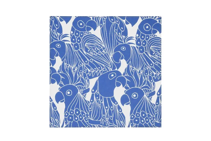 ERES Soleil Perroquet Scarf Imprime Perroquet Maracas Women Beachwear and Accessories