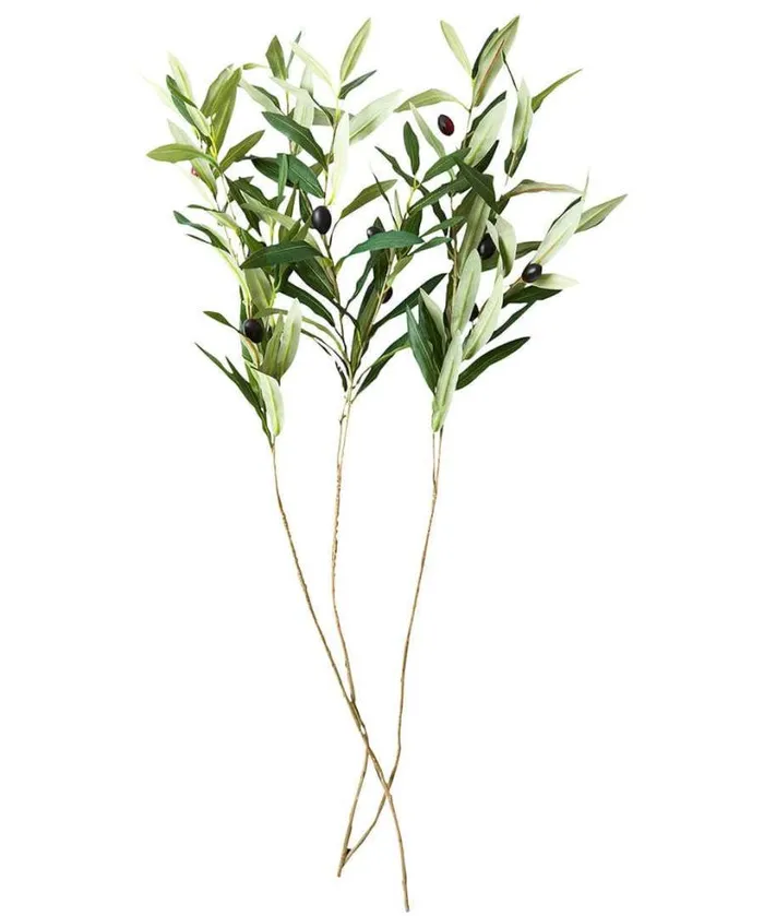 Joe Browns Home Accessories Homeware Oh So Lovely Olive Branches Green