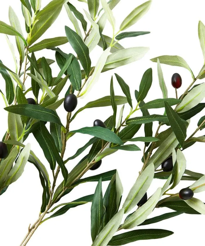 Joe Browns Home Accessories Homeware Oh So Lovely Olive Branches Green