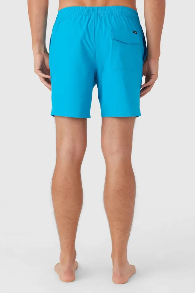 LENNOX HERMOSA SOLID ELASTIC WAIST 17034 SWIM TRUNKS Elctrc Blu Men O039NEILL Type