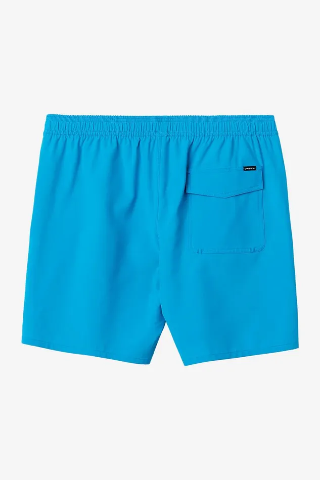 LENNOX HERMOSA SOLID ELASTIC WAIST 17034 SWIM TRUNKS Elctrc Blu Men O039NEILL Type