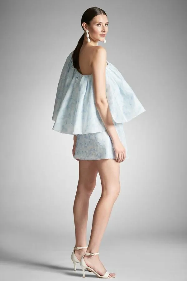 Sachin and Babi Chantal Dress 8211 Blue Degrade Floral Blue Degrade Floral Women Mini