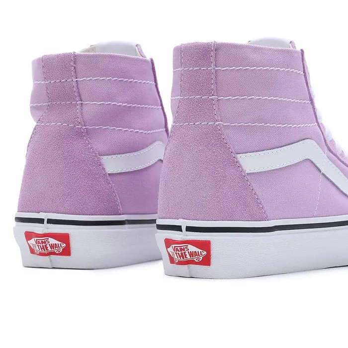 Vans HiTop Shoes Men Color Theory Sk8Hi Tapered Shoes Purple