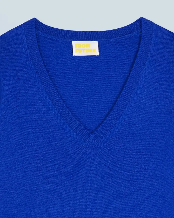 Women Cashmere Sweaters From Future Basic VNeck Sweater Popblue