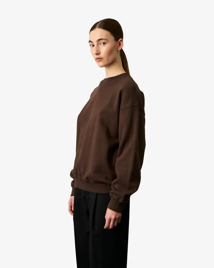 Women Crewneck Sweatshirts Colorful Standard Organic Oversized Crew Oyster Grey