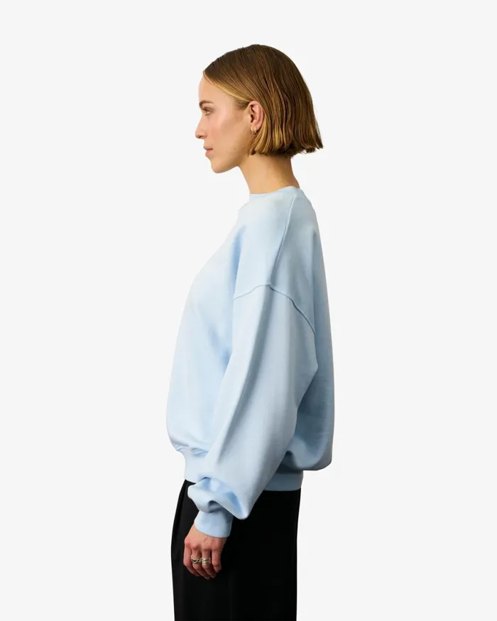 Women Crewneck Sweatshirts Colorful Standard Organic Oversized Crew Sahara Camel