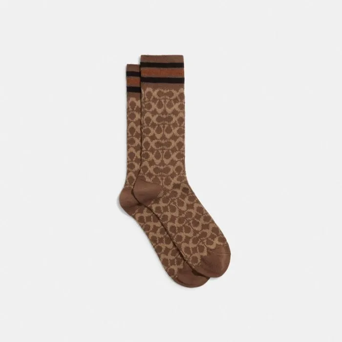 WomenMen Hats Scarves and Gloves Coach Signature Socks Khaki